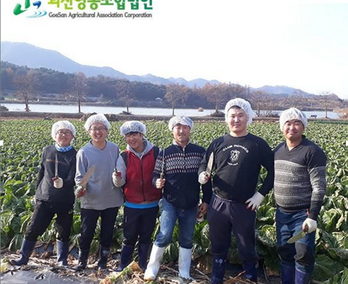 올해 최고 괴산영농조합 별점 5점 제품