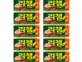 2023년 마지막 기회 동원리챔200g10캔캔햄 BEST8 추천 제품 후기