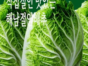 솔직 리뷰 땅끝해남절임배추20kg해뜰해남절인배추 랭킹 TOP8 제품 리뷰 및 사용 후기 솔직 리뷰 땅끝해남절임배추20kg해뜰해남절인배추 랭킹 TOP8 제품 리뷰 및 사용 후기