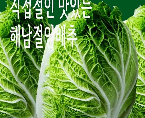솔직 리뷰 땅끝해남절임배추20kg해뜰해남절인배추 랭킹 TOP8 제품 리뷰 및 사용 후기