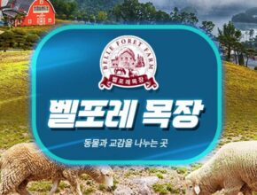 최다 판매 벨포레리조트51평 인기 아이템 추천 8가지 (실사용 후기)