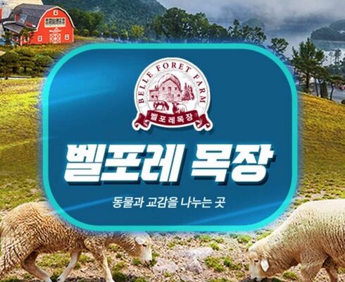 최다 판매 벨포레리조트51평 인기 아이템 추천 8가지 (실사용 후기)