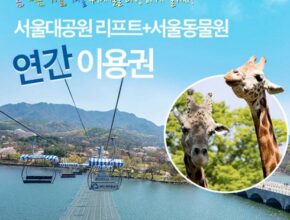 최고의 실용성을 갖춘 에버랜드오후권 추천 아이템 Top 8 순위표