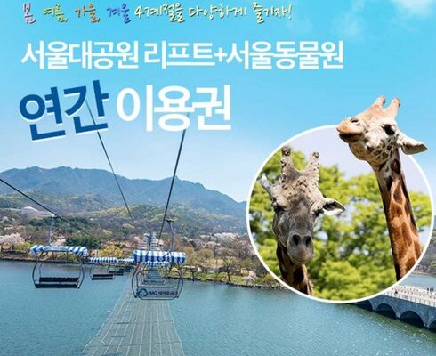 최고의 실용성을 갖춘 에버랜드오후권 추천 아이템 Top 8 순위표