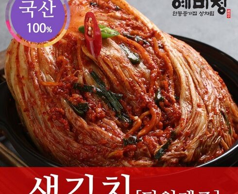 인기 폭발 예미정 BEST8 추천 제품 후기