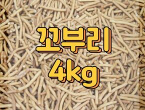 가성비 최고의 까불이오란다 인기 아이템 추천 8가지 (실사용 후기)