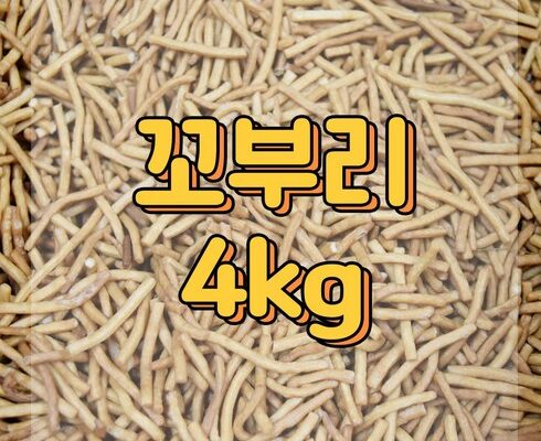 가성비 최고의 까불이오란다 인기 아이템 추천 8가지 (실사용 후기)