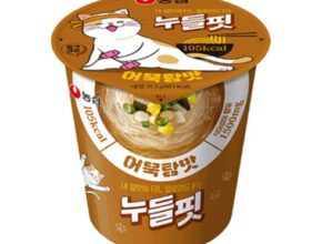 2024년 마지막 기회 누들핏 사용 후기