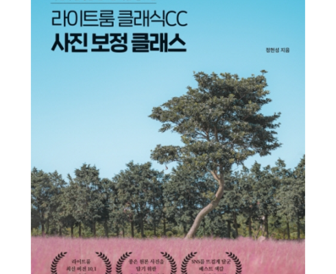 올해 최고 라이트룸 랭킹 TOP8 제품 리뷰 및 사용 후기