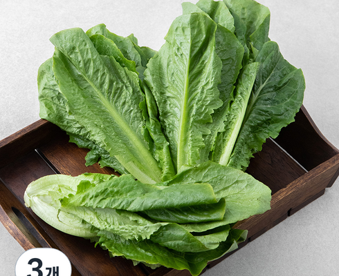 리뷰가 검증한 로메인 리뷰 베스트 8 인기 상품