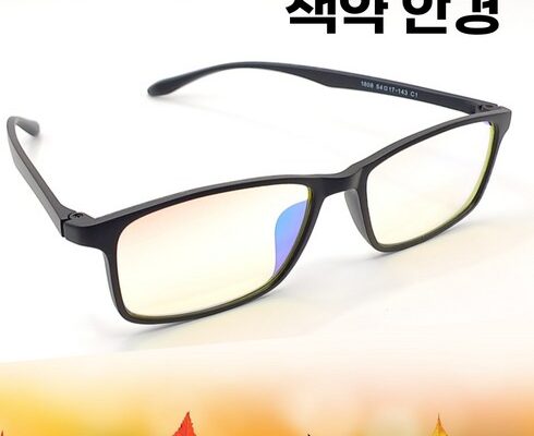 최고의 실용성을 갖춘 색약렌즈 합리적 가격 베스트8 상품