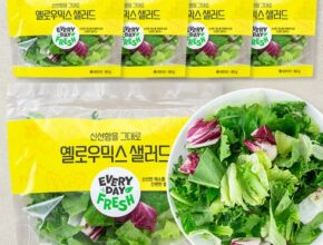 2024년 마지막 기회 샐러드채소 합리적인 가격 추천 best8