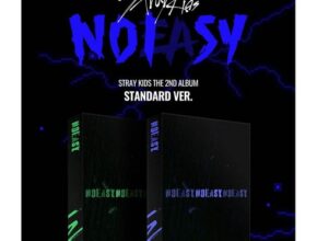 가성비 최고의 스트레이키즈한정반 합리적 가격 베스트8 상품 가성비 최고의 스트레이키즈한정반 합리적 가격 베스트8 상품