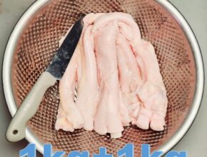 방송에서 극찬한 알스지 인기 아이템 추천 8가지 (실사용 후기)