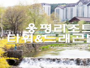 사용자를 위한 용평리조트패키지 합리적인 가격 추천 best8