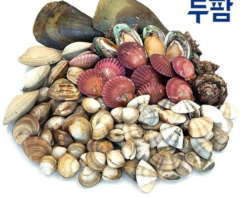 올해 최고 조개찜 인기 아이템 추천 8가지 (실사용 후기)