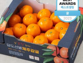 2024년 업데이트 타이벡귤 추천 구매가이드 (Top8 리뷰)