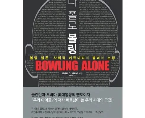 전문가가 추천하는 나홀로볼링 별점 5점 제품