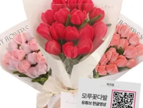 리뷰가 검증한 모루공예자격증 랭킹 TOP8 제품 리뷰 및 사용 후기