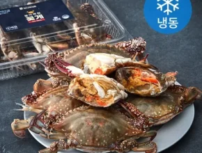가성비 최고의 암꽃게 BEST8 추천 제품 후기 가성비 최고의 암꽃게 BEST8 추천 제품 후기