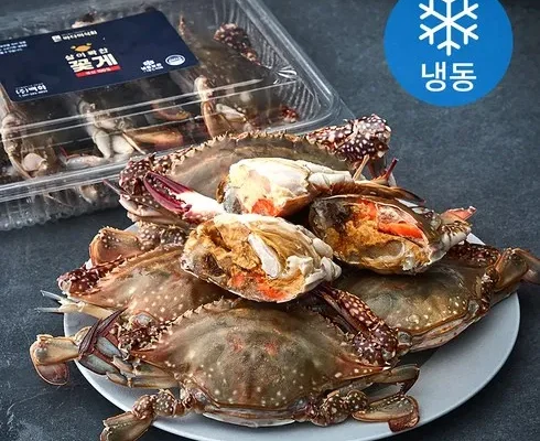 가성비 최고의 암꽃게 BEST8 추천 제품 후기