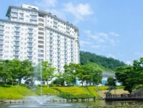 가성비 최고의 엘리시안강촌 BEST8 추천 제품 후기