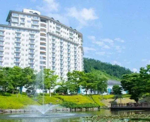 가성비 최고의 엘리시안강촌 BEST8 추천 제품 후기