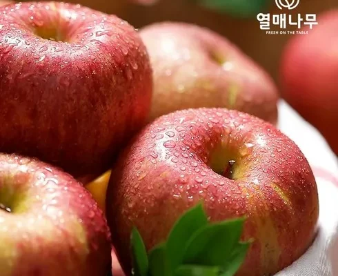사용자를 위한 열매나무 못난이 부사사과 3kg3kg 인기 아이템 추천 8가지 (실사용 후기)