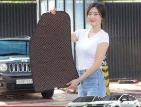 2024년 업데이트 더원 4세대 프리미엄 카매트 BEST8 추천 제품 후기