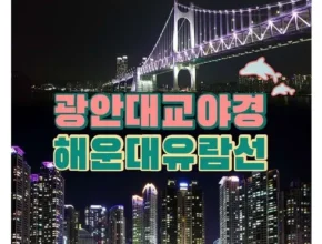 방송에서 극찬한 부산해변열차예약 사용 후기