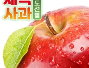 2024년 최고의 산들앤 스테비아 세척사과 2 box 인기 상품 리스트 Top 8