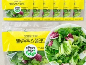 솔직 리뷰 샐러드배송 리뷰 베스트 8 인기 상품 솔직 리뷰 샐러드배송 리뷰 베스트 8 인기 상품