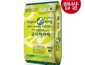 2024년 마지막 기회 슈퍼오닝고시히카리 BEST8 추천 제품 후기