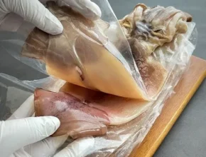 2024년 최고의 영덕 반건조 피데기오징어 2.5kg 랭킹 TOP8 제품 리뷰 및 사용 후기
