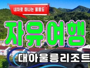 리뷰가 검증한 울릉도 2박 3일 패키지 랭킹 TOP8 제품 리뷰 및 사용 후기