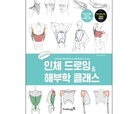 방송에서 극찬한 인체드로잉 추천 아이템 Top 8 순위표