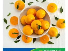 솔직 리뷰 제주 귤로장생 천혜향 4kg 사용 후기 솔직 리뷰 제주 귤로장생 천혜향 4kg 사용 후기
