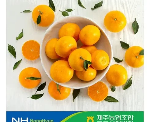 솔직 리뷰 제주 귤로장생 천혜향 4kg 사용 후기