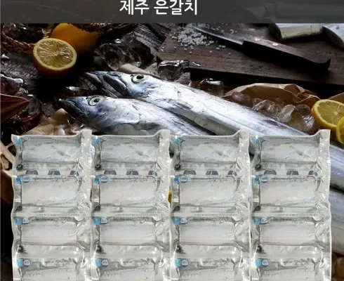 리뷰가 검증한 제주은갈치 왕특대 420g4마리분량 추천 구매가이드 (Top8 리뷰)