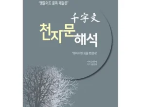가성비 최고의 천자문책 인기 아이템 추천 8가지 (실사용 후기)