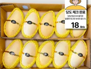 방송에서 극찬한 항공직송 태국 남독마이 생 골드망고 4kg 추천 상품 Top 8 순위 방송에서 극찬한 항공직송 태국 남독마이 생 골드망고 4kg 추천 상품 Top 8 순위