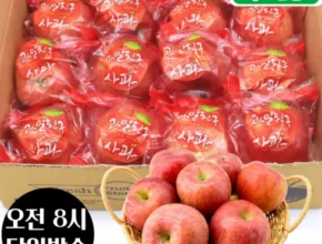 솔직 리뷰 2023 데일리 세척사과 부사 6kg_총 24250g 추천 아이템 Top 8 순위표 솔직 리뷰 2023 데일리 세척사과 부사 6kg_총 24250g 추천 아이템 Top 8 순위표