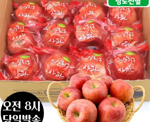 솔직 리뷰 2023 데일리 세척사과 부사 6kg_총 24250g 추천 아이템 Top 8 순위표