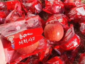 리뷰가 검증한 2023 데일리 세척사과 부사 6kg_총 24250g 별점 5점 제품 리뷰가 검증한 2023 데일리 세척사과 부사 6kg_총 24250g 별점 5점 제품