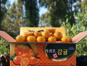 방송에서 극찬한 귤림원 카라향 4kg 인기 아이템 추천 8가지 (실사용 후기) 방송에서 극찬한 귤림원 카라향 4kg 인기 아이템 추천 8가지 (실사용 후기)