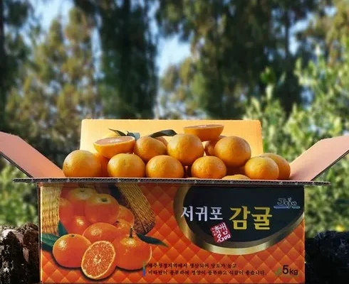 방송에서 극찬한 귤림원 카라향 4kg 인기 아이템 추천 8가지 (실사용 후기)