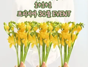 리뷰가 검증한 꽃 추천 아이템 Top 8 순위표