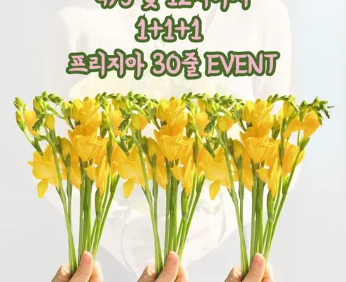 리뷰가 검증한 꽃 추천 아이템 Top 8 순위표