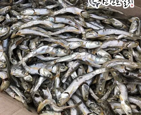 맘카페에서 난리난 다시멸치 리뷰 베스트 8 인기 상품