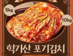 가성비 최고의 안동학가산김치 사용 후기